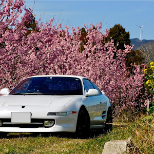 MR2 SW20