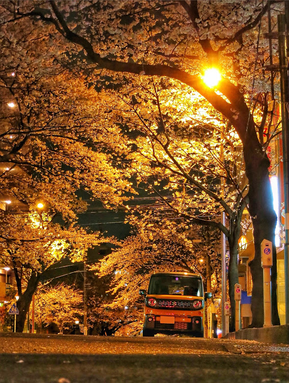 スペーシアの桜2019に関するカスタム事例の投稿画像1枚目