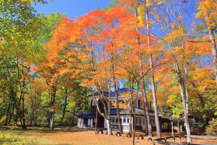 シビックの軽井沢・紅葉・秋・シビックタイプR・ドライブに関するカスタム事例の投稿画像2枚目