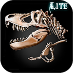 The Lost Lands:DH Lite Apk