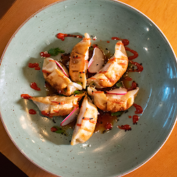 Pan-Fried Vegetable Gyoza