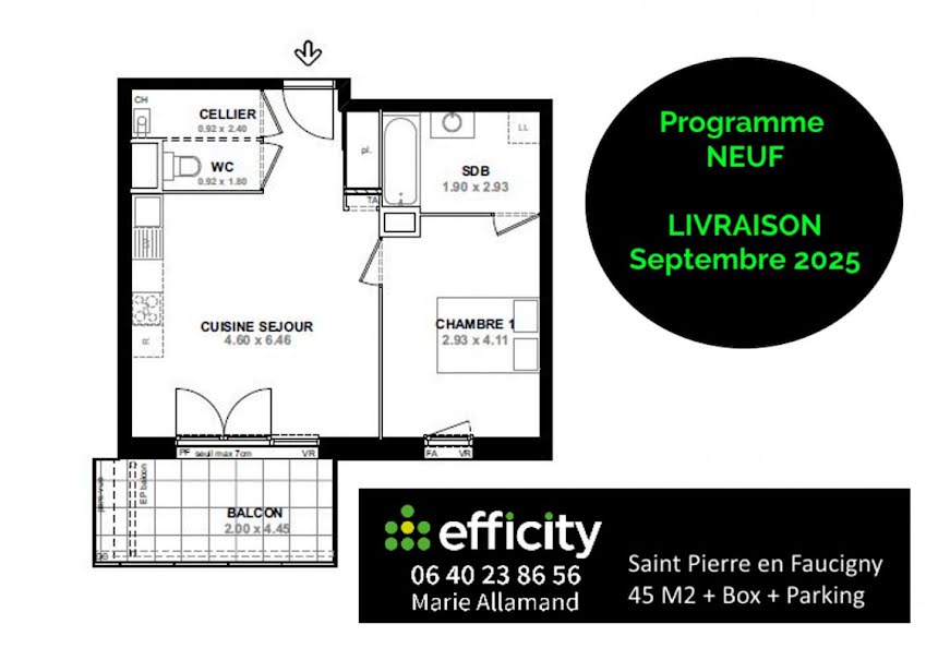 Vente appartement 2 pièces 46 m² à La Roche-sur-Foron (74800), 250 300 €