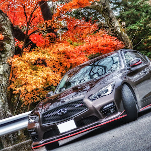 スカイライン HV37