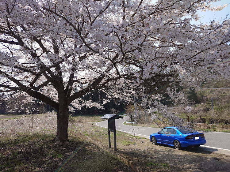 の投稿画像3枚目