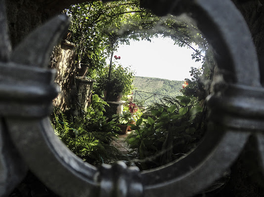 Il giardino segreto di Morrilwen