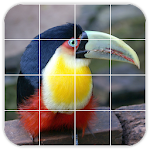 Tile Puzzles · South America Apk