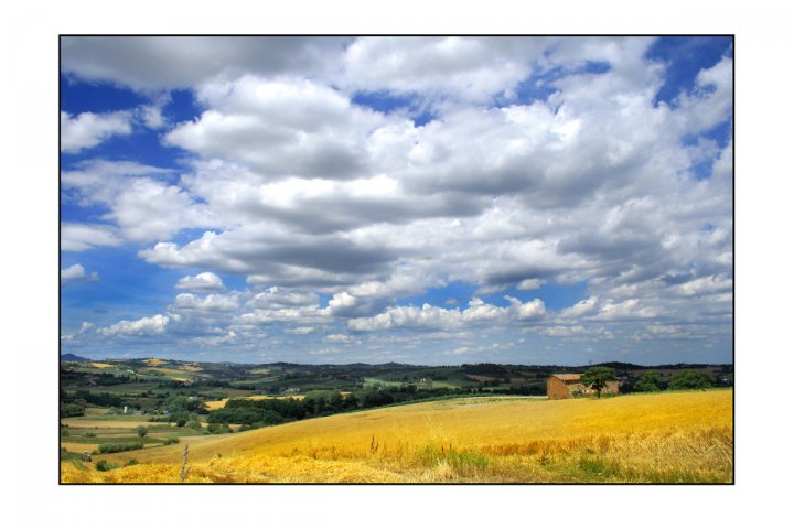 Paesaggio estivo di fieldsofgold