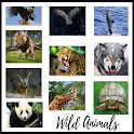 Wild animals, documentaries