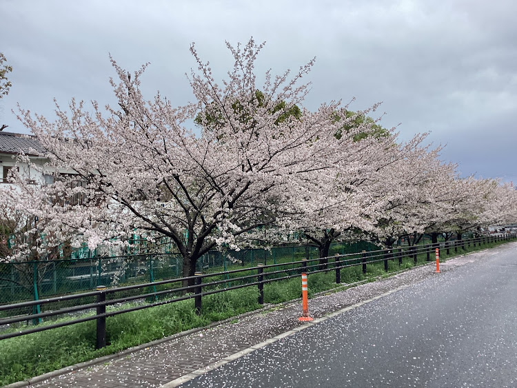 の投稿画像38枚目