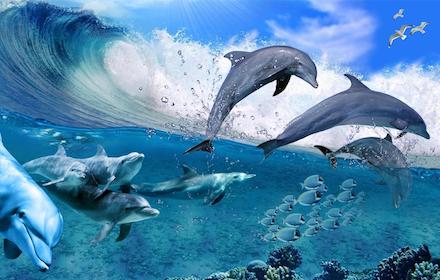 Blue Dolphin Group In Deep Water Theme small promo image