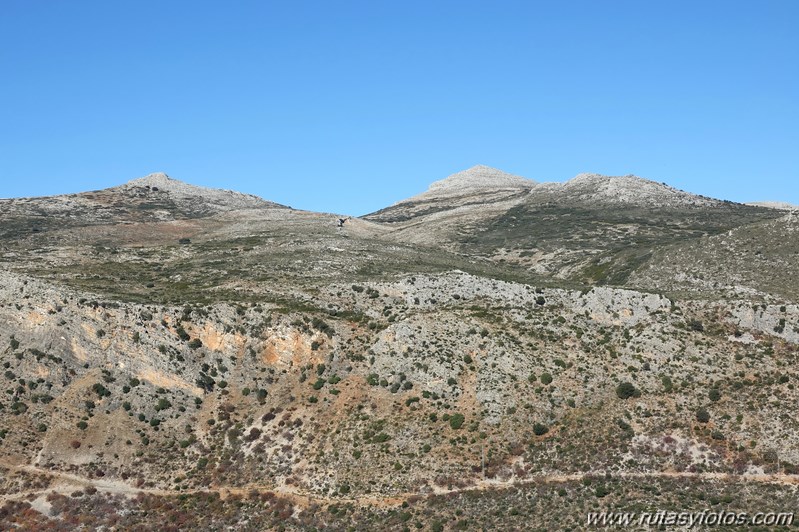 Cornicabral del Valle de Lifa