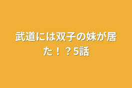 武道には双子の妹が居た！？5話