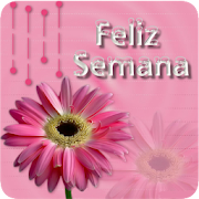 Feliz Semana  Icon