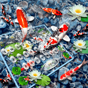 Koi Fish Keyboard Theme  Icon