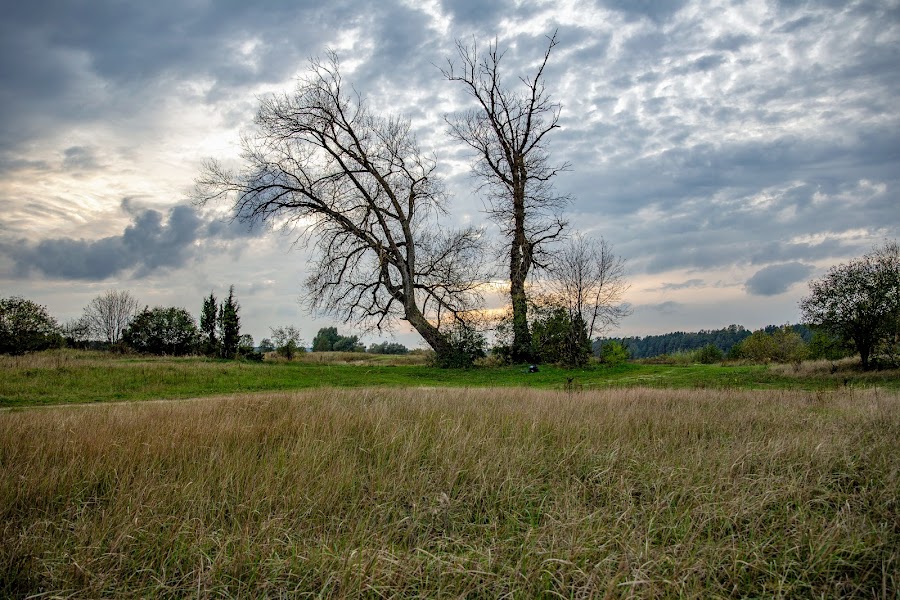 krajobraz, weekend na Mazowszu