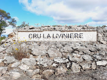 terrain à La Livinière (34)