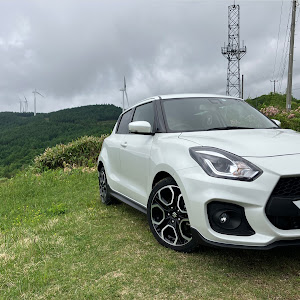 スイフトスポーツ ZC33S