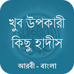 খুব উপকারী কিছু হাদীস Apk