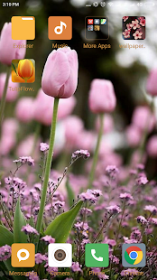 Tulip Flower Wallpapers(圖6)-速報App