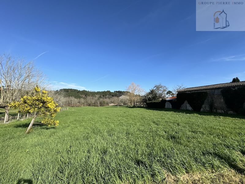 Vente terrain  1552 m² à Saint-Martin-de-Coux (17360), 29 000 €