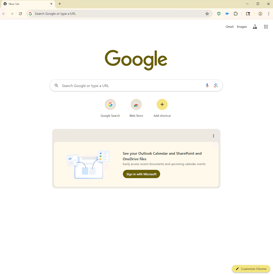 Chrome Web Store