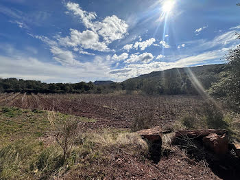 terrain à Le Bosc (34)