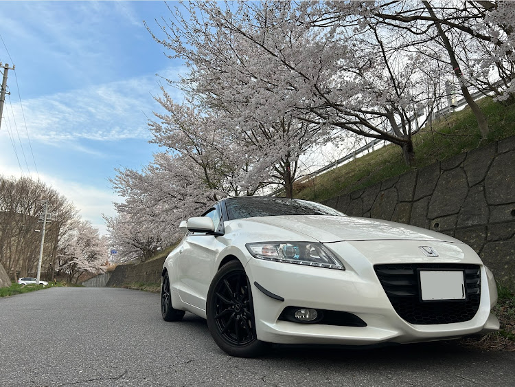 CR-ZのCR-Z ZF1・桜とコラボ・ホイール交換・カナードもどき・サクラと愛車に関するカスタム事例の投稿画像2枚目
