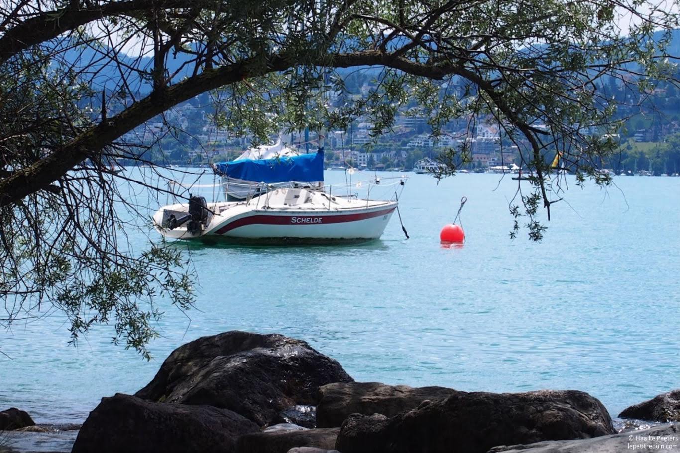 Zürichsee (Le petit requin)