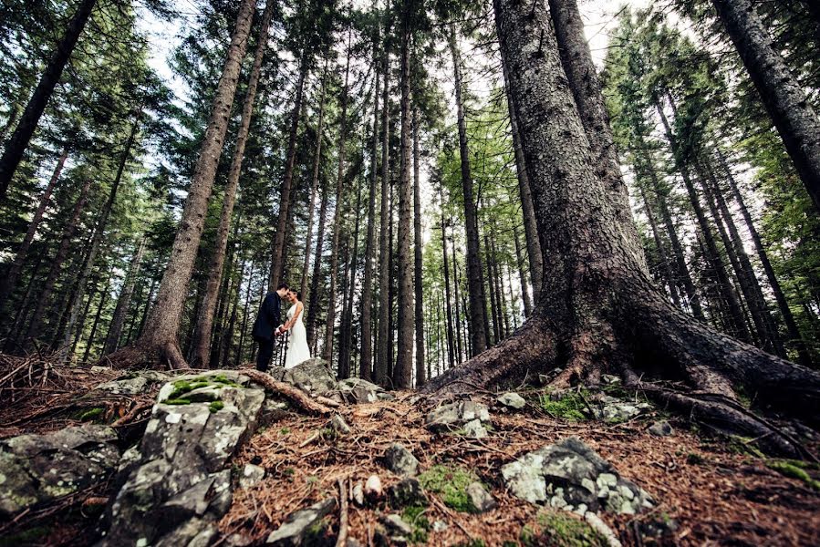 Pulmafotograaf Davide Bortuzzo (bortu). Foto tehtud 20 september 2018