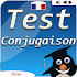 Game french conjugation: learn french conjugation4