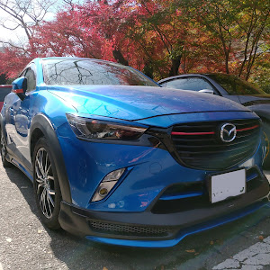 CX-3 DK5FW