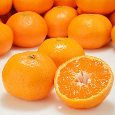 みかん🍊