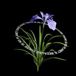 カキツバタ【杜若】準絶滅危惧（NT）Iris laevigata