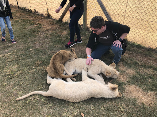 New & Improved Lions Park South Africa 2018