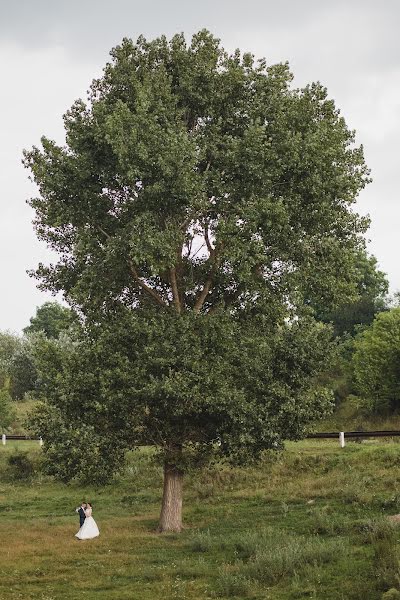 Bryllupsfotograf Oleg Shvec (svetoleg). Bilde av 14 august 2018