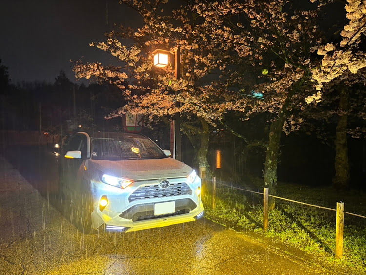 RAV4のRAV4好きな人と繋がりたい・rav4gz・RAV4乗りさんと繋がりたい・RAV4・桜とコラボに関するカスタム事例の投稿画像1枚目