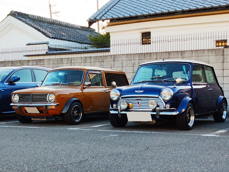 ＭＥＭＳ診断用ケーブル　ローバーミニ ＲＯＶＥＲ ＭＩＮＩ ＣＯＯＰＥＲ ＥＣＵ