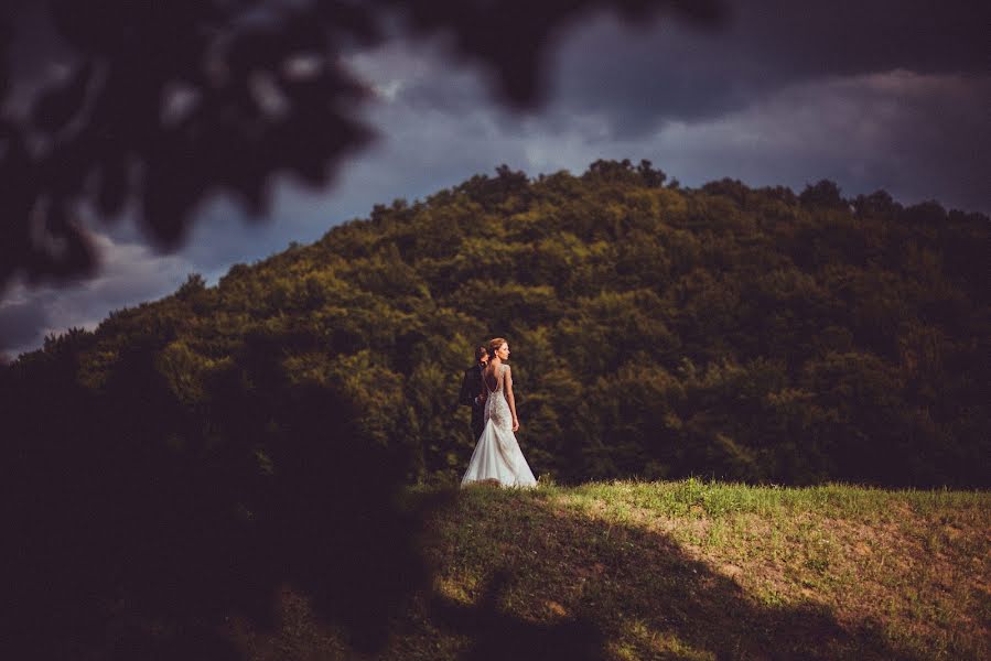 Photographe de mariage Karlo Šutalo (karlosutalo). Photo du 27 juillet 2017