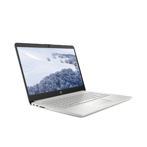 Laptop HP 14s-dk1055au (171K9PA) (Ryzen 3 3250U/RAM 4GB/256GB SSD/ Windows 10)