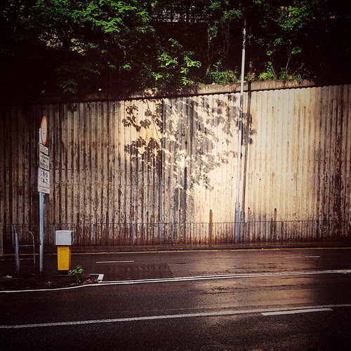 Hong Kong, Street Side, Tree, Shadows, 香港, 路邊, 樹影