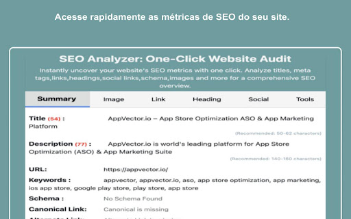 Analisador de SEO: Auditoria de Site com Um Clique