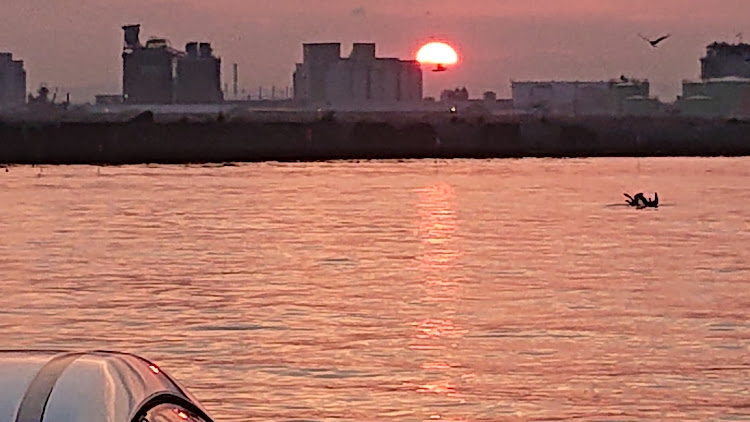 プリウスのコートテクト・スパシャン・みらまじ・ブルーオーシャン・世界三大夕陽の街に関するカスタム事例の投稿画像5枚目