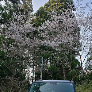 デイズルークス B21A