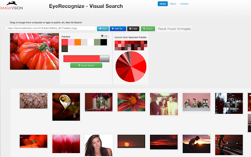 Visual Search