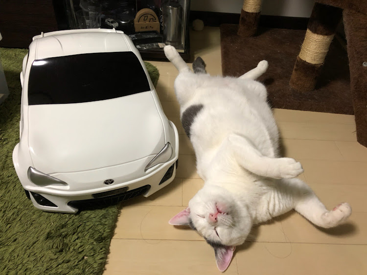 86の猫に関するカスタム事例の投稿画像2枚目