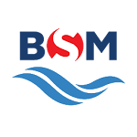 Cover Image of Baixar BSM LiveFleet 1.0.8 APK