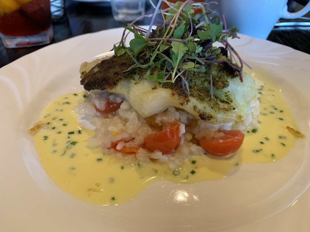 pesto encrusted cod with cherry tomato risotto