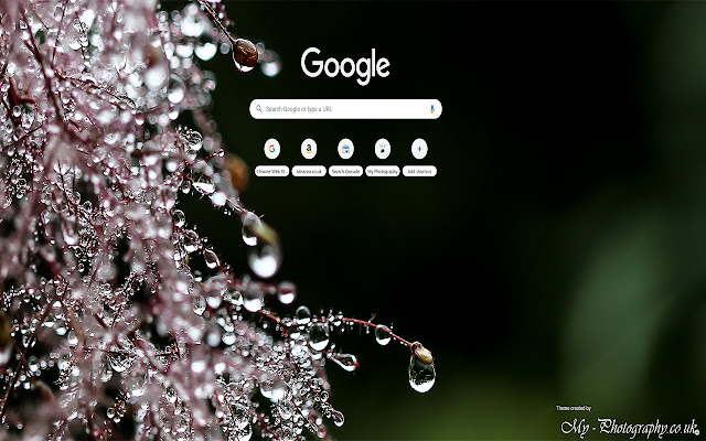 Macro drops of water. chrome extension