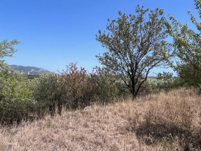 Vente terrain  672 m² à Ollioules (83190), 310 000 €