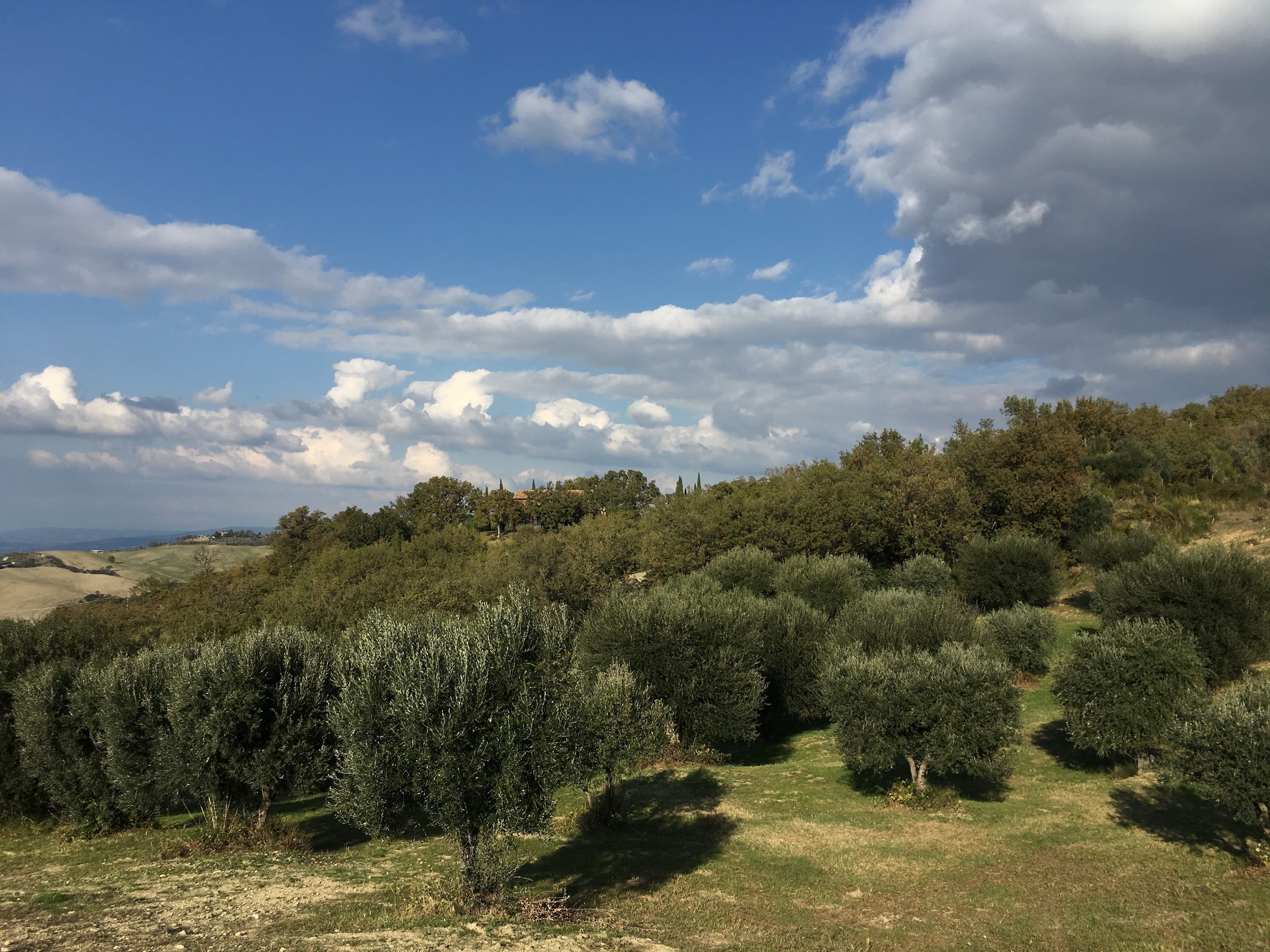 Vakantiehuis in de Toscaanse Maremma